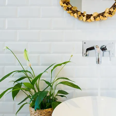 Corall Apartment